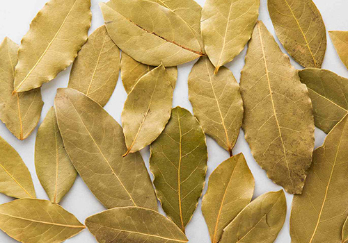 bay-leaves-featured